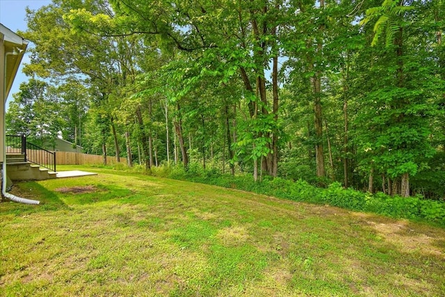 1161 Honey Ln, Estill Springs, TN 37330 - view of yard