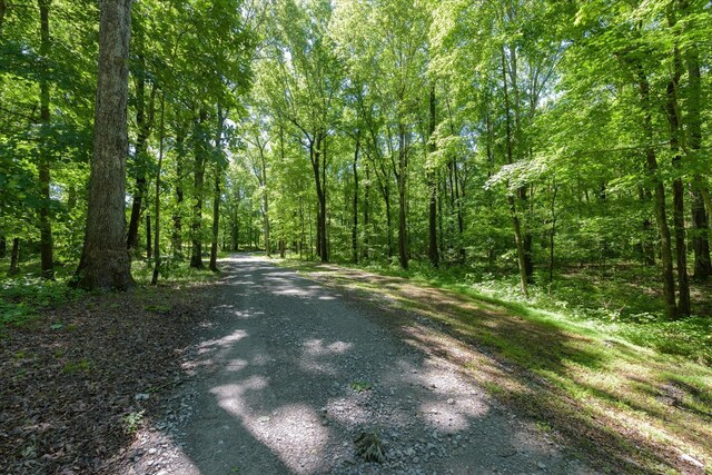 4945 E Evans Rd, Clarksville, TN 37043 - photo 42