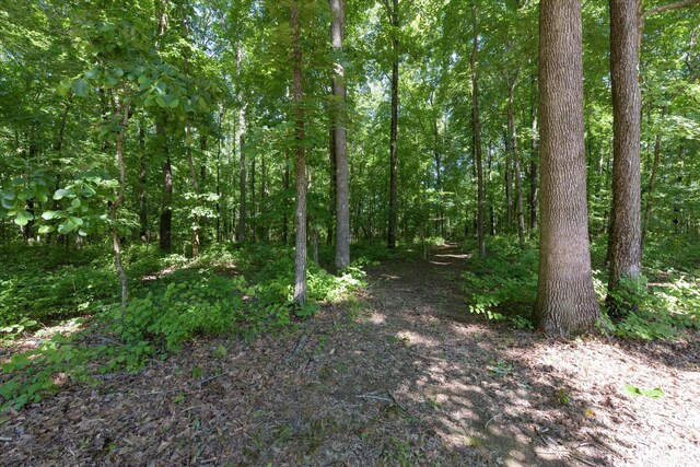 4945 E Evans Rd, Clarksville, TN 37043 - photo 41