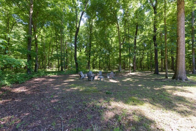 4945 E Evans Rd, Clarksville, TN 37043 - photo 43