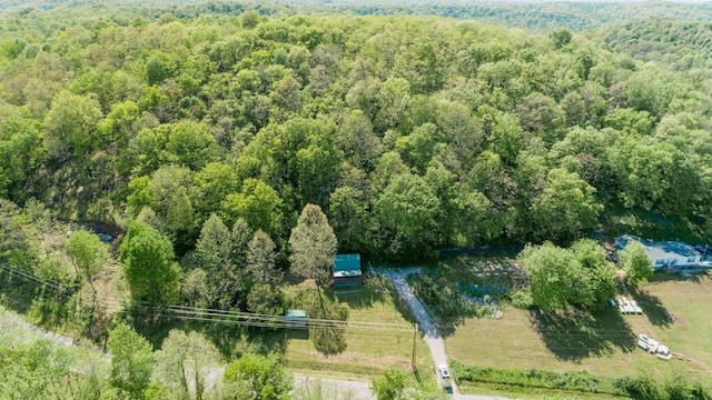 1930 Preacher Holt Rd, Mount Pleasant, TN 38474 - bird's eye view of a forest