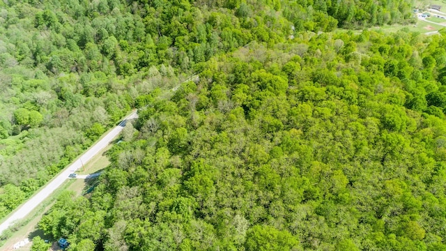 1930 Preacher Holt Rd, Mount Pleasant, TN 38474 - drone / aerial view of a heavily wooded area