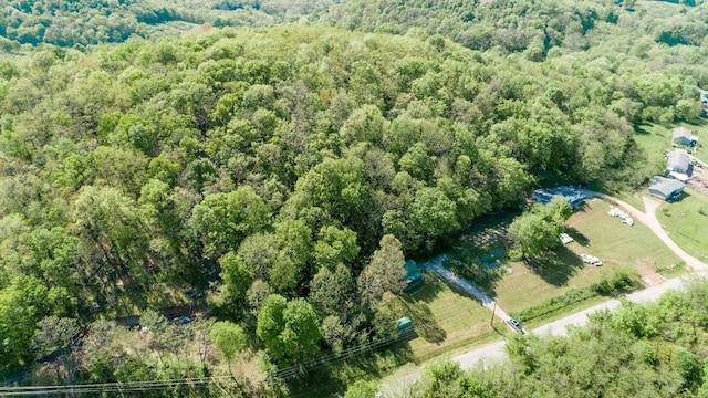 1930 Preacher Holt Rd, Mount Pleasant, TN 38474 - aerial view of a forest