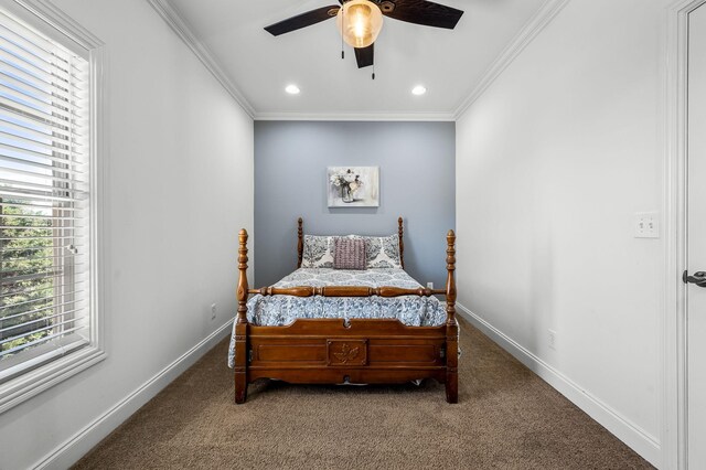 338 Leconte Ct, Murfreesboro, TN 37128 - photo 58