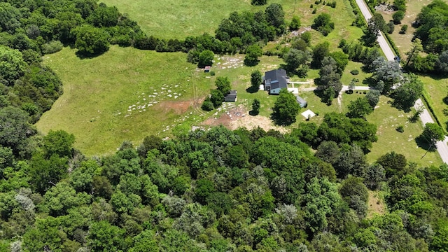 3388 Anes Station Rd, Lewisburg, TN 37091 - photo 41