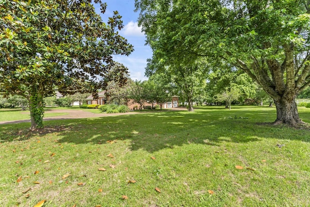3000 General Forrest Dr, Columbia, TN 38401 - view of green lawn