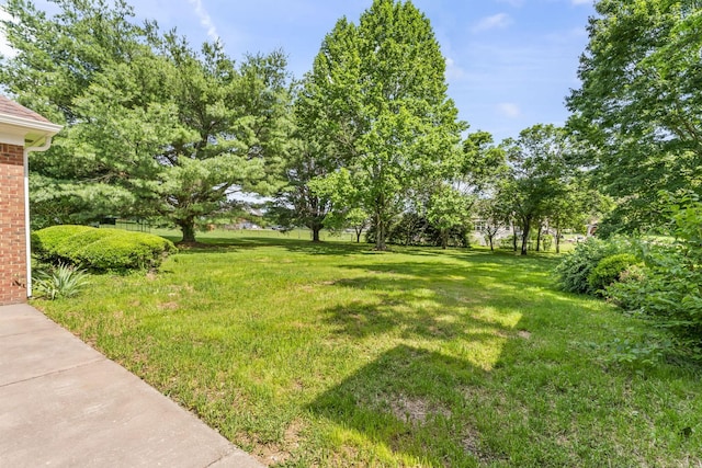 3000 General Forrest Dr, Columbia, TN 38401 - view of green lawn