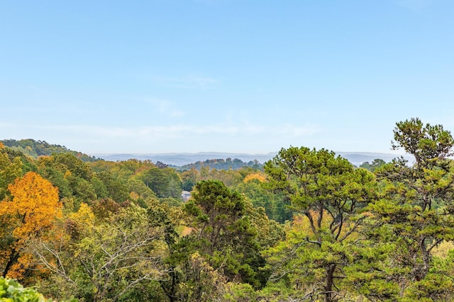 484 E View Dr, Chattanooga, TN 37404 - view of mountain backdrop with a heavily wooded area