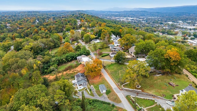 484 E View Dr, Chattanooga, TN 37404 - view of property location featuring a mountain backdrop and a forest