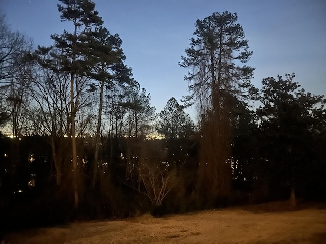 484 E View Dr, Chattanooga, TN 37404 - view of local wilderness