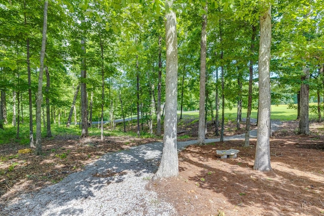 105 Andrews Dr, Loretto, TN 38469 - view of yard