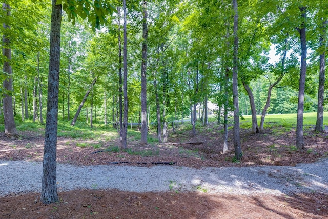 105 Andrews Dr, Loretto, TN 38469 - view of nature