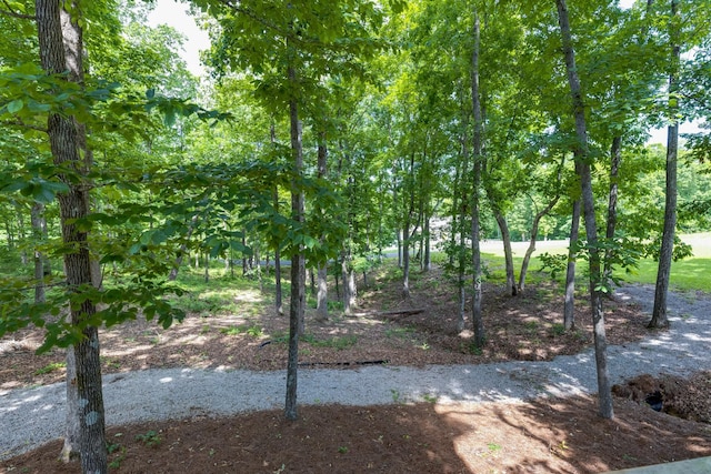 105 Andrews Dr, Loretto, TN 38469 - view of yard