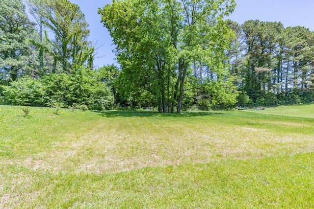 110 4th Ave S, Loretto, TN 38469 - view of grassy yard