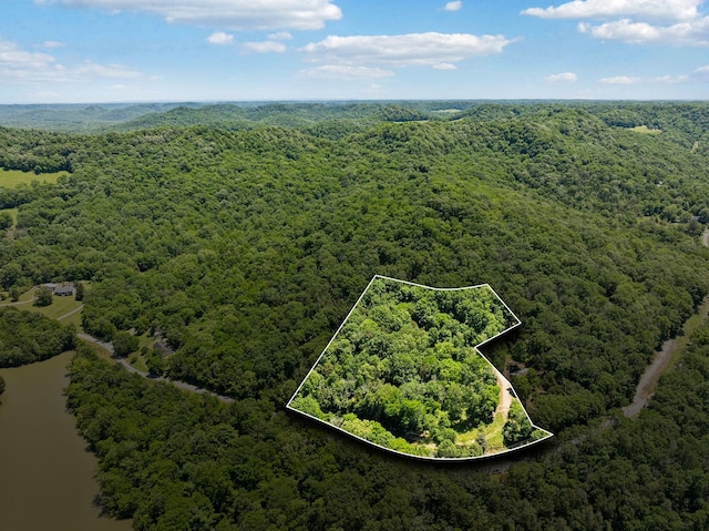0 Sullivans Bend Rd, Elmwood, TN 38560