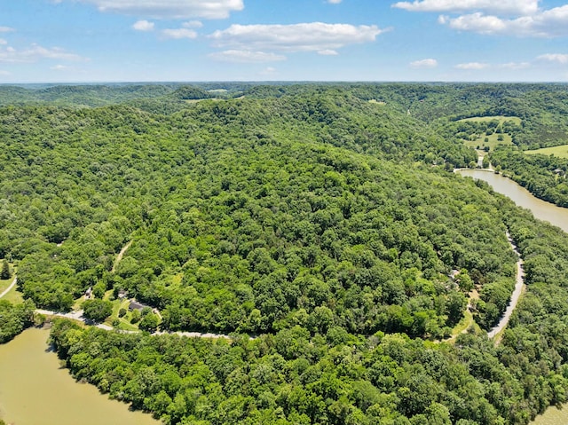 0 Sullivans Bend Rd, Elmwood, TN 38560