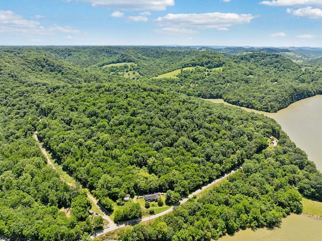0 Sullivans Bend Rd, Elmwood, TN 38560