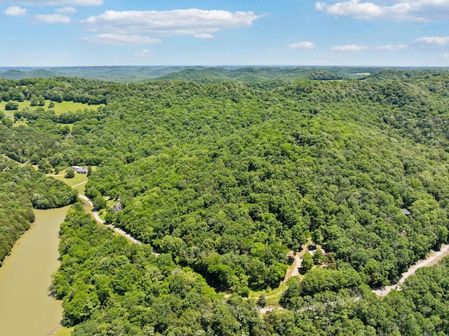 0 Sullivans Bend Rd, Elmwood, TN 38560