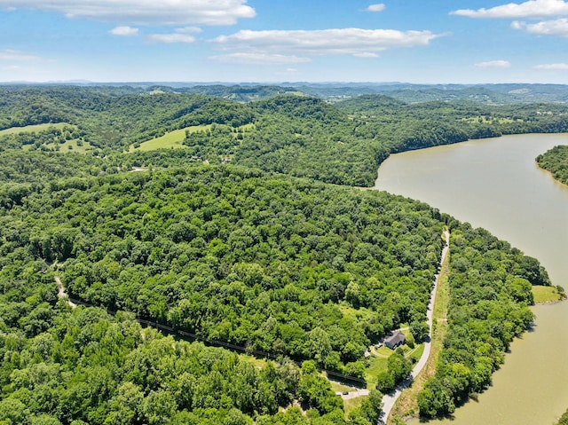 0 Sullivans Bend Rd, Elmwood, TN 38560