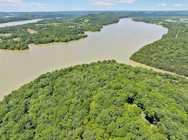 0 Sullivans Bend Rd, Elmwood, TN 38560