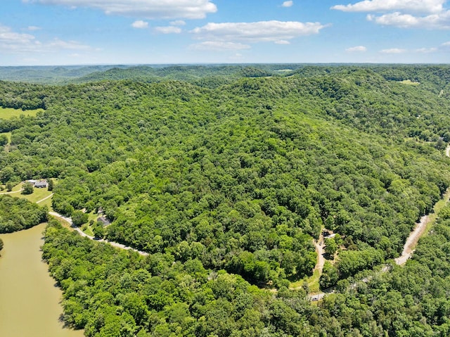 0 Sullivans Bend Rd, Elmwood, TN 38560