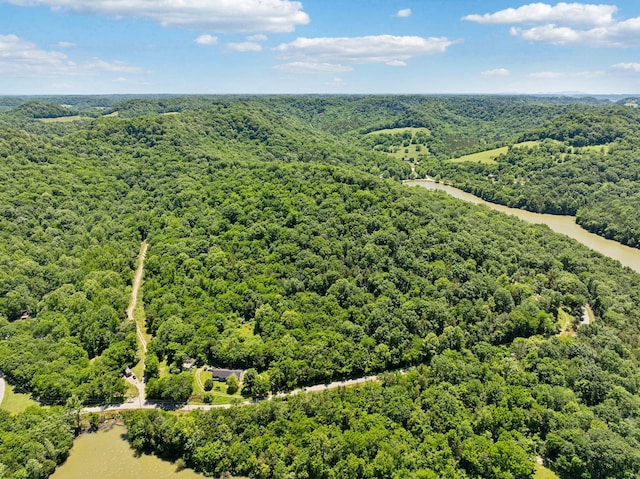 0 Sullivans Bend Rd, Elmwood, TN 38560