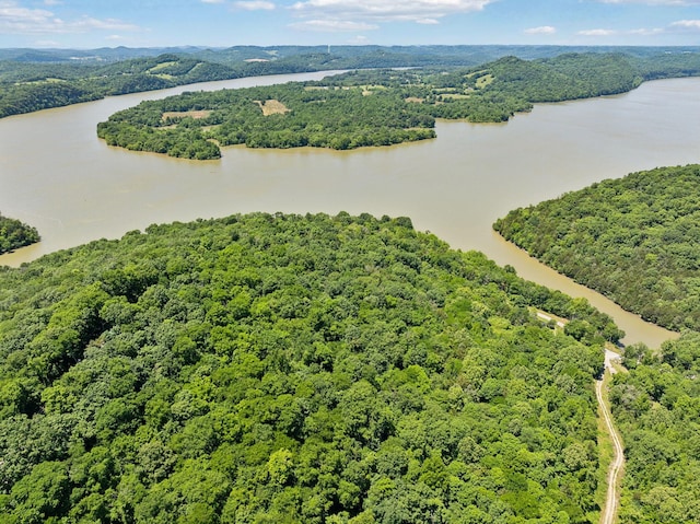 0 Sullivans Bend Rd, Elmwood, TN 38560