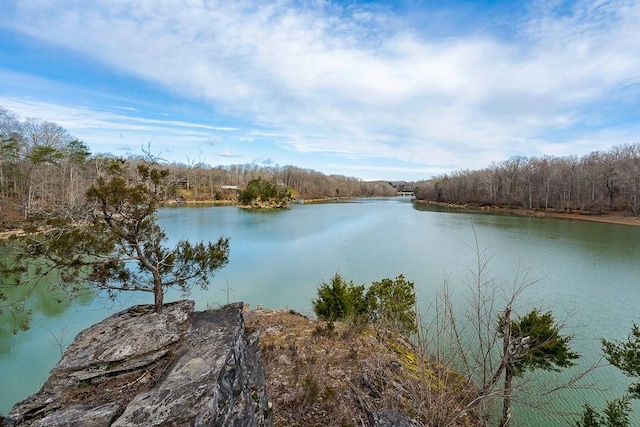 562 Rocky Ridge Rd E, Rock Island, TN 38581 - water view with a heavily wooded area