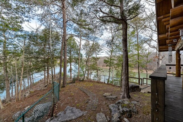 562 Rocky Ridge Rd E, Rock Island, TN 38581 - view of yard