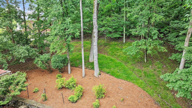 30 Park Mdws, Nashville, TN 37215 - view of yard