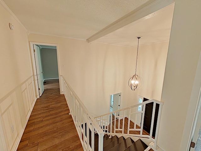 7 E Ln, Fayetteville, TN 37334 - hallway featuring wood finished floors, a chandelier, crown molding, and a textured ceiling