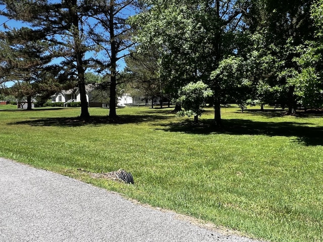 168 Commodore Cir, Summertown, TN 38483 - view of grassy yard