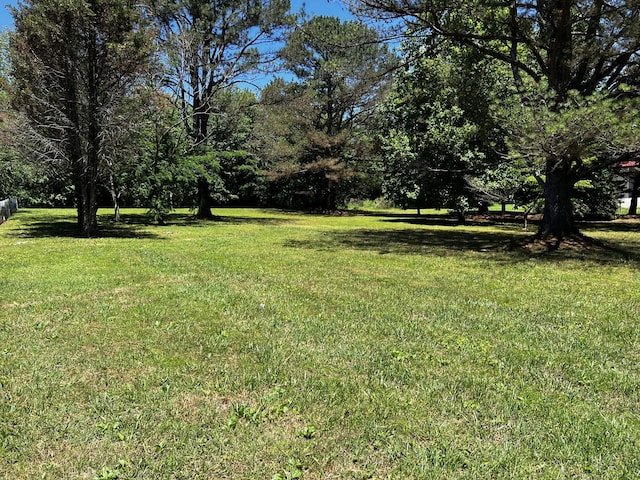 168 Commodore Cir, Summertown, TN 38483 - view of green lawn