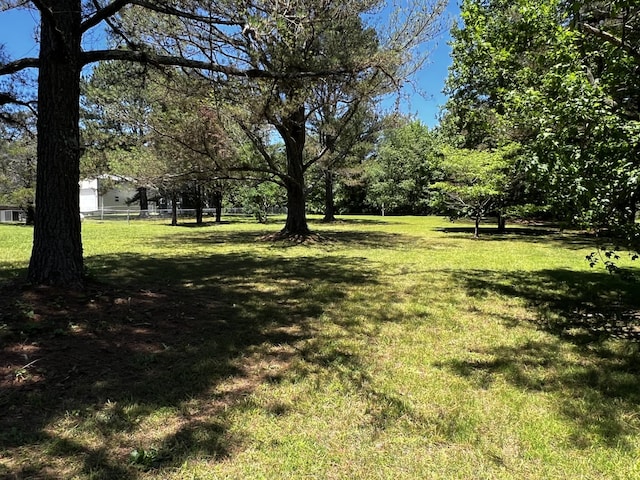 168 Commodore Cir, Summertown, TN 38483 - view of green lawn