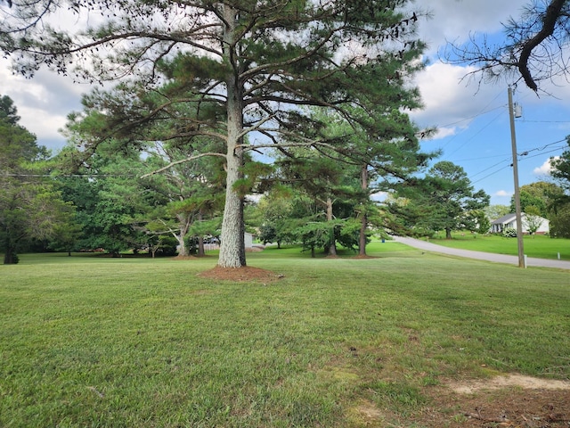 168 Commodore Cir, Summertown, TN 38483 - photo 39