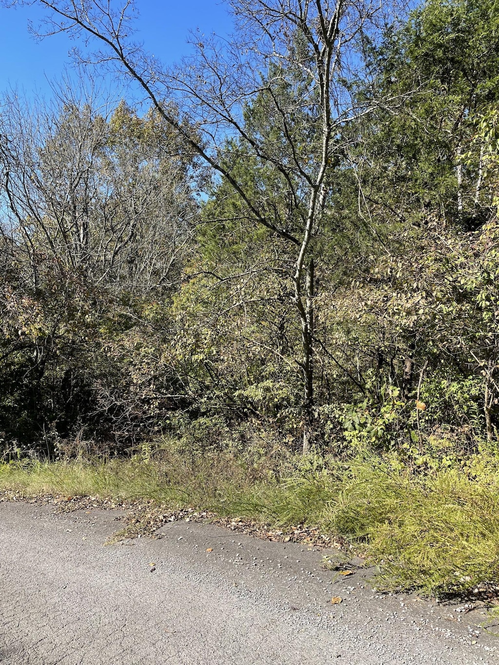 0 Due W Ave N, Madison, TN 37115 - photo 3