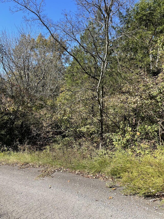0 Due W Ave N, Madison, TN 37115 - photo 3