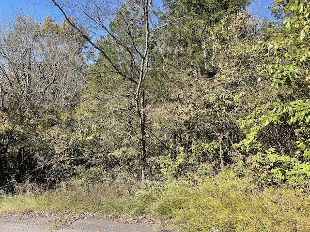 0 Due W Ave N, Madison, TN 37115 - photo 4