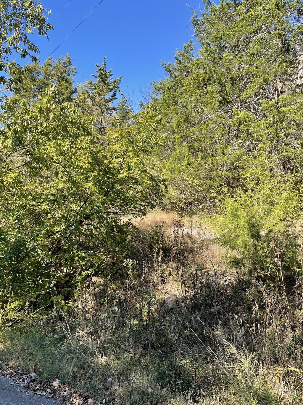 0 Due W Ave N, Madison, TN 37115 - photo 2