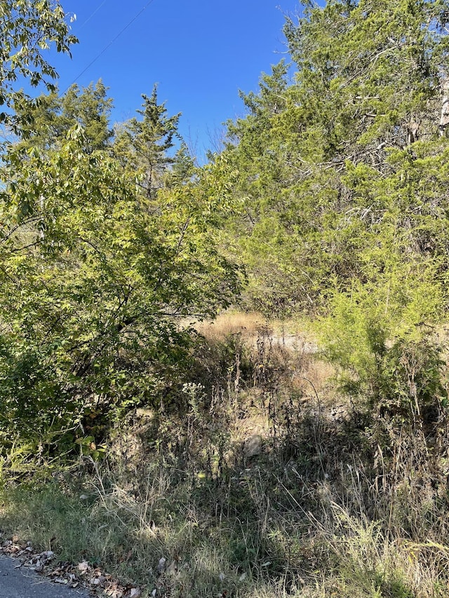 0 Due W Ave N, Madison, TN 37115 - photo 2