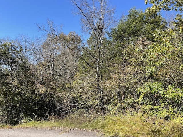 0 Due W Ave N, Madison, TN 37115 - photo 1