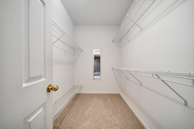 122 Belmont Cir, Hendersonville, TN 37075 - walk in closet featuring light carpet
