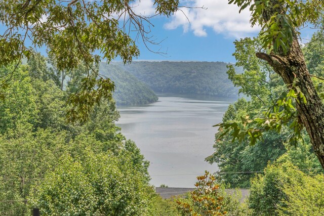 4250 Four Seasons Rd, Smithville, TN 37166 - photo 3