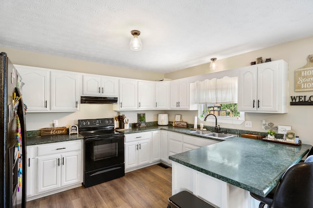 3970 Pleasant Grove Rd, White House, TN 37188 - kitchen featuring black appliances, a sink, under cabinet range hood, a peninsula, and white cabinetry