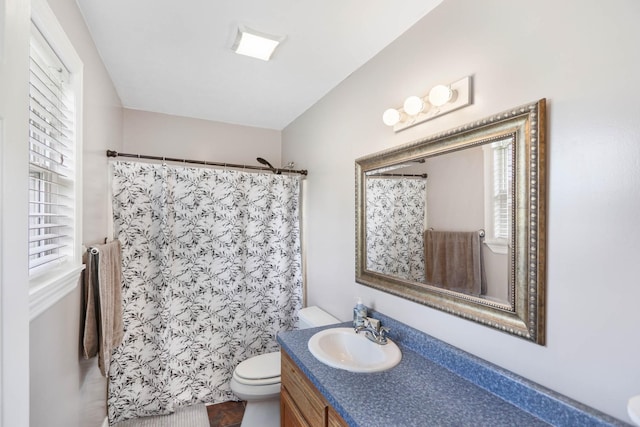 3970 Pleasant Grove Rd, White House, TN 37188 - bathroom featuring toilet, vanity, and a shower with shower curtain