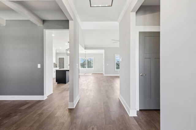 2200 Hamilton Chambers Rd, Lebanon, TN 37087 - hallway with dark wood-style floors, baseboards, and ornamental molding