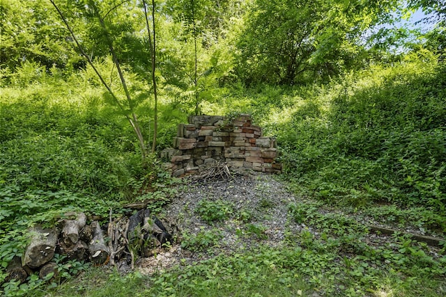 203 Theodore Rd, Nashville, TN 37214 - photo 10
