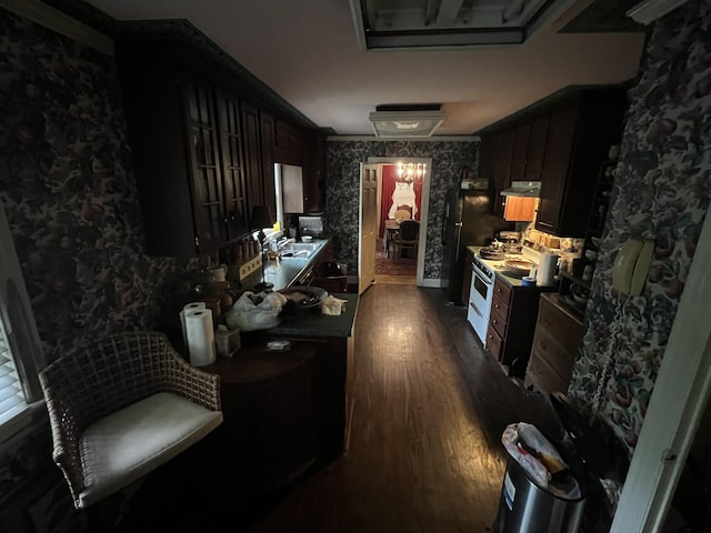 1802 Glen Oaks Ln, Dyersburg, TN 38024 - kitchen featuring dark wood-type flooring, under cabinet range hood, a sink, electric range, and freestanding refrigerator