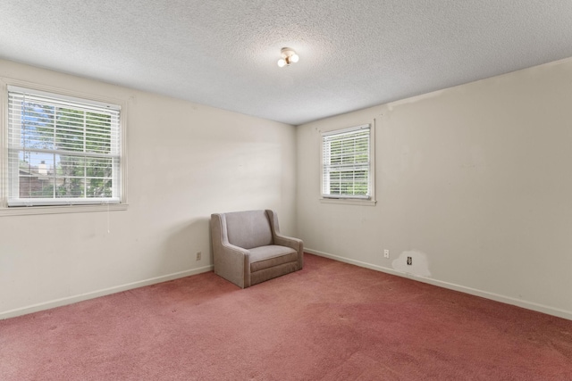 191 Green Harbor Rd, Old Hickory, TN 37138 - unfurnished room with a textured ceiling and carpet floors