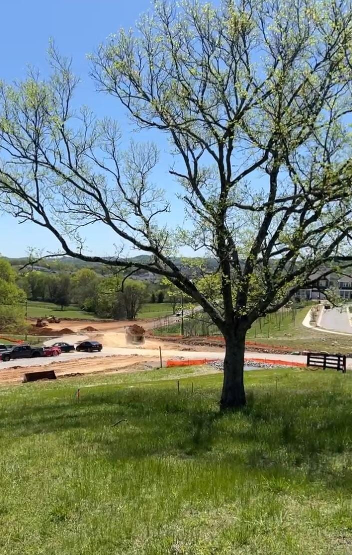0 S Carothers Rd, Franklin, TN 37064